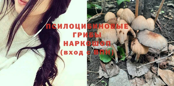 ГАЛЛЮЦИНОГЕННЫЕ ГРИБЫ Арсеньев