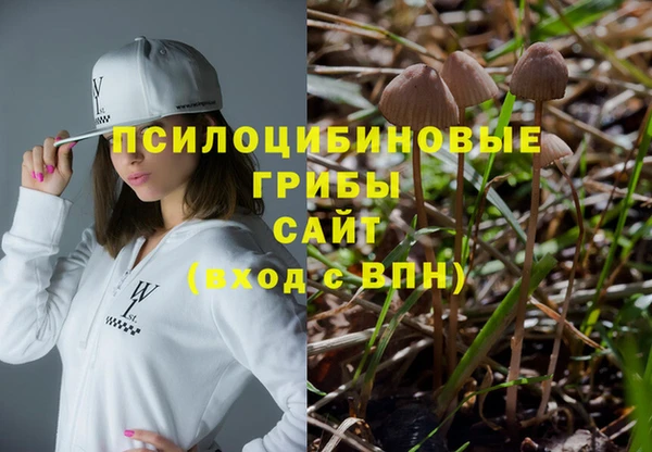 эйфоретик Аркадак