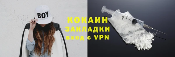твердый Армянск
