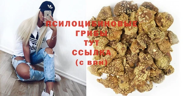 эйфоретик Аркадак