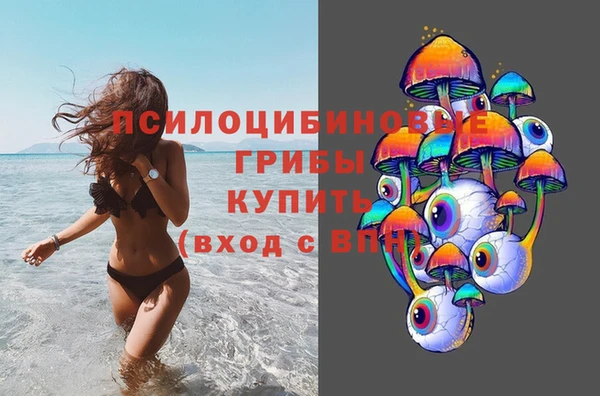 эйфоретик Аркадак
