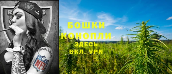 ГАЛЛЮЦИНОГЕННЫЕ ГРИБЫ Арсеньев