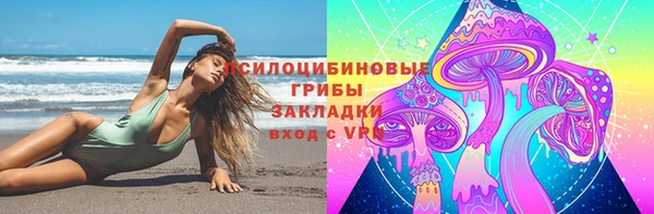 эйфоретик Аркадак