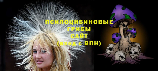 ГАЛЛЮЦИНОГЕННЫЕ ГРИБЫ Арсеньев