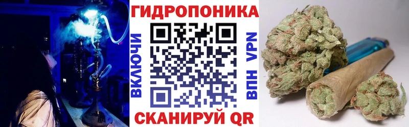 Конопля MAZAR  нарко площадка состав  Сосенский 